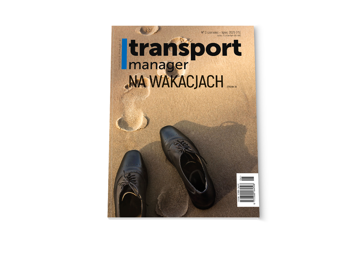 Logistics Manager - zdjęcie produktu
