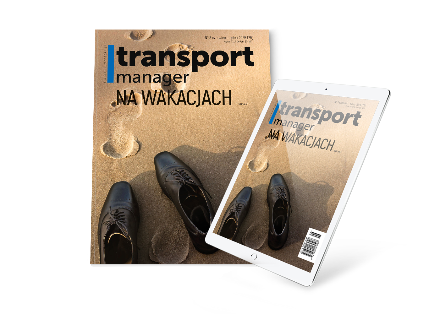 Logistics Manager - zdjęcie produktu